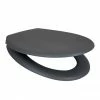 Arezzo Matt Grey Soft Close Toilet Seat -Arezzo shop AZ GRY TS p