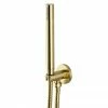 Arezzo Round Brushed Brass Outlet Elbow With Parking Bracket, Flex & Handset -Arezzo shop AZ75 BB NPROD
