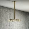 Arezzo Brushed Brass 195mm Thin Round Shower Head + 300mm Ceiling Mounted Arm -Arezzo shop AZBB195CA p