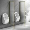 2 X Arezzo Fluted Glass Brushed Brass Framed Urinal Partitions -Arezzo shop AZBBFP2 p