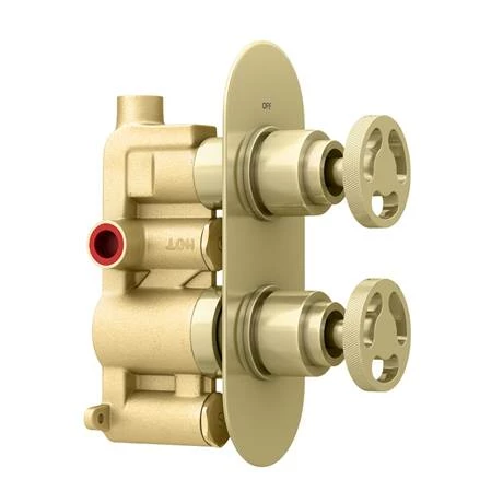 Arezzo Brushed Brass Industrial Style Round Modern Twin Concealed Shower Valve Arezzo Brushed Brass Industrial Style Round Modern Twin Concealed Shower Valve -Arezzo shop AZBBIV1 d5 460