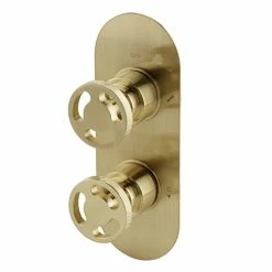Arezzo Brushed Brass Industrial Style Round Modern Twin Concealed Shower Valve With Diverter