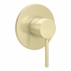 Arezzo Brushed Brass Round Concealed Manual Shower Valve
