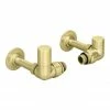 Arezzo Brushed Brass Round Corner Angled Radiator Valves With Pipe Kit -Arezzo shop AZBBRCVPK lrg 670