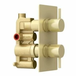 Arezzo Brushed Brass Round Modern Twin Concealed Shower Valve 6 Arezzo Brushed Brass Round Modern Twin Concealed Shower Valve -Arezzo shop AZBBSV n d2 460