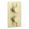 Arezzo Brushed Brass Round Modern Twin Concealed Shower Valve