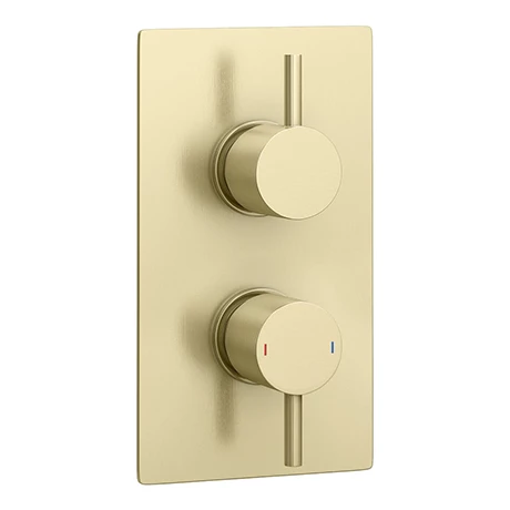 Arezzo Brushed Brass Round Modern Twin Concealed Shower Valve Arezzo Brushed Brass Round Modern Twin Concealed Shower Valve -Arezzo shop AZBBSV n prod