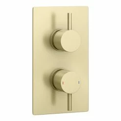 Arezzo Brushed Brass Round Modern Twin Concealed Shower Valve With Diverter