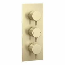 Arezzo Brushed Brass Round Modern Triple Concealed Shower Valve