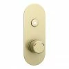 Arezzo Brushed Brass Industrial Style Push Button Shower Valve (1 Outlet) -Arezzo shop AZPB01RBB n p