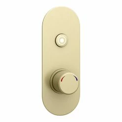 Arezzo Brushed Brass Industrial Style Push Button Shower Valve (1 Outlet)