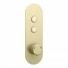 Arezzo Brushed Brass Industrial Style Push Button Shower Valve (2 Outlets) 1 Arezzo Brushed Brass Industrial Style Push Button Shower Valve (2 Outlets) -Arezzo shop AZPB02RBB np