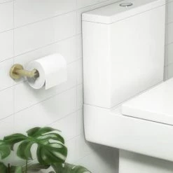 Arezzo Industrial Style Brushed Brass Toilet Roll Holder 7 Arezzo Industrial Style Brushed Brass Toilet Roll Holder -Arezzo shop ISBBRH d5 460