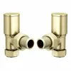 Arezzo Modern Angled Radiator Valves - Brushed Brass 2 Arezzo Modern Angled Radiator Valves - Brushed Brass -Arezzo shop MBBV1 P1