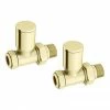Arezzo Modern Straight Radiator Valves - Brushed Brass 1 Arezzo Modern Straight Radiator Valves - Brushed Brass -Arezzo shop MBBV2 n prod