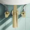 Arezzo Brushed Brass Trap And Isolating Set 1 Arezzo Brushed Brass Trap And Isolating Set -Arezzo shop MRTISBB p