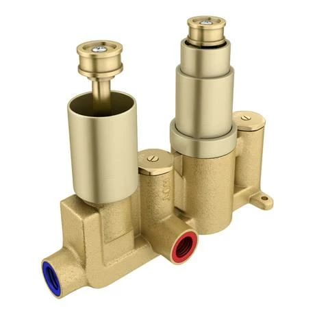 Arezzo Brushed Brass Twin Concealed Shower Valve inc. 300mm Head + 200mm Ceiling Mounted Arm Arezzo Brushed Brass Twin Concealed Shower Valve Inc. 300mm Head + 200mm Ceiling Mounted Arm -Arezzo shop RD32BBPKCM d2 460